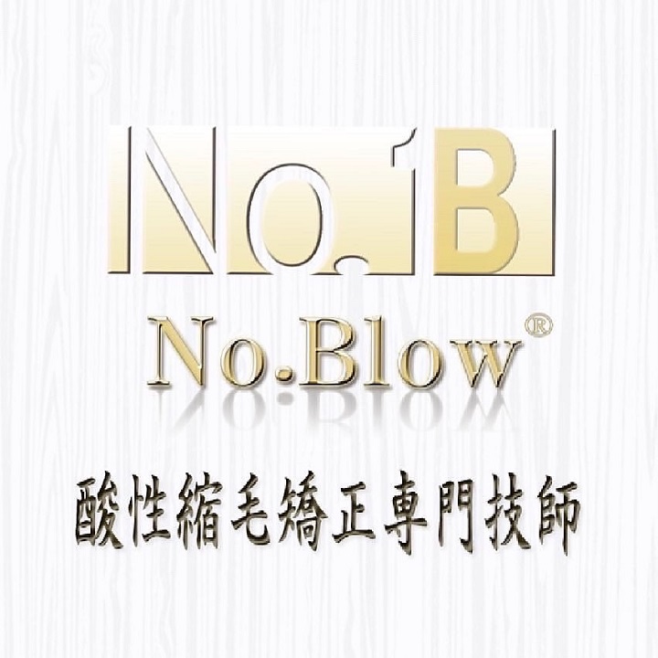 No.Blow 酸性縮毛矯正専門技師【ノーブロー】ロゴマーク